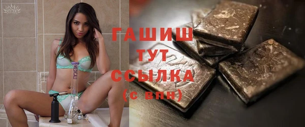 трава Няндома
