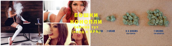 трава Няндома