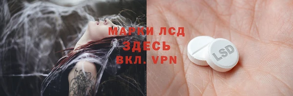 трава Няндома