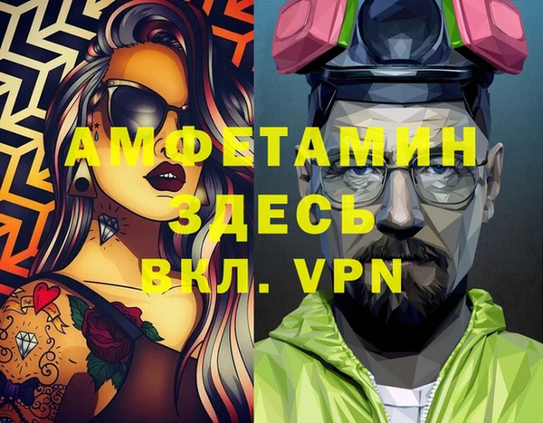 трава Няндома