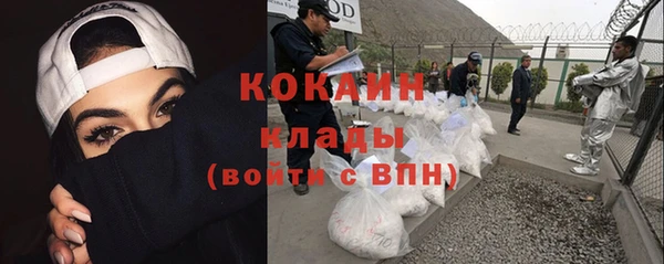 трава Няндома