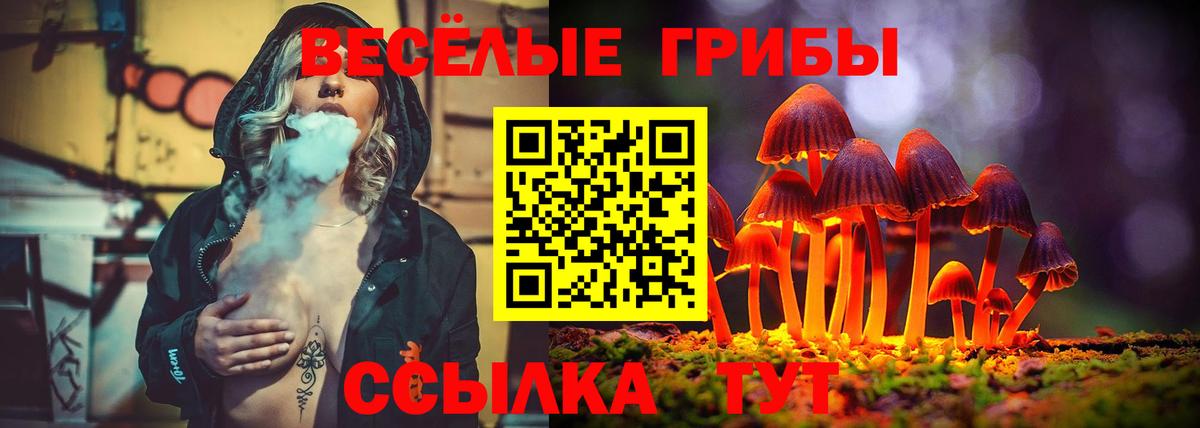 Галлюциногенные грибы ЛСД  Галлюциногенные грибы Magic Shrooms  Петропавловск-Камчатский  Вход с VPN 