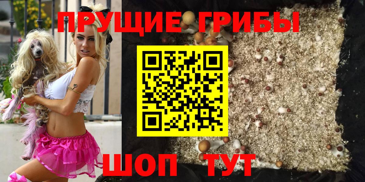 Галлюциногенные грибы Psilocybine cubensis Петропавловск-Камчатский