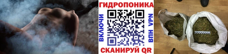 как найти закладки  Петропавловск-Камчатский  Каннабис семена 